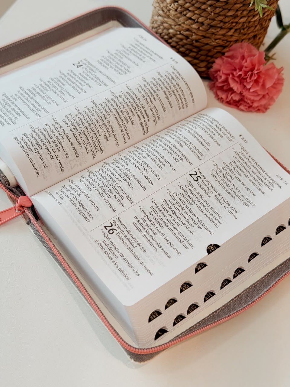 Biblia compacta NTV, letra gigante de zíper - Image 3