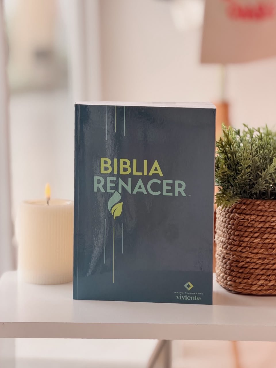Biblia Renacer NTV (Tapa rústica)