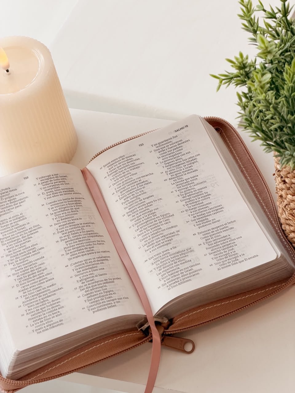 NBLA, Santa Biblia, Tamaño bolsillo - Image 3