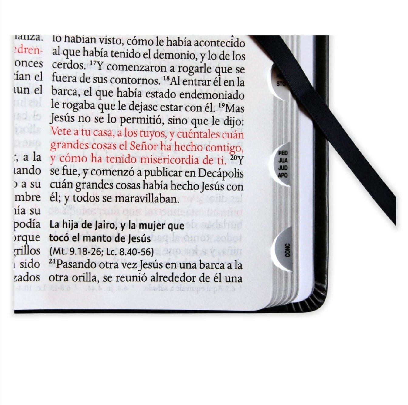 Biblia León de Judá Edición Especial RV1960, tapa dura negro con índice - Image 6