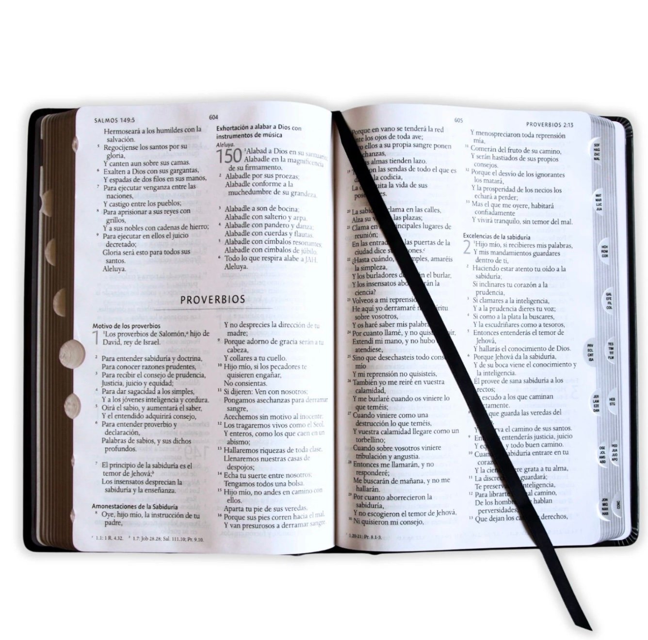 Biblia León de Judá Edición Especial RV1960, tapa dura negro con índice - Image 5