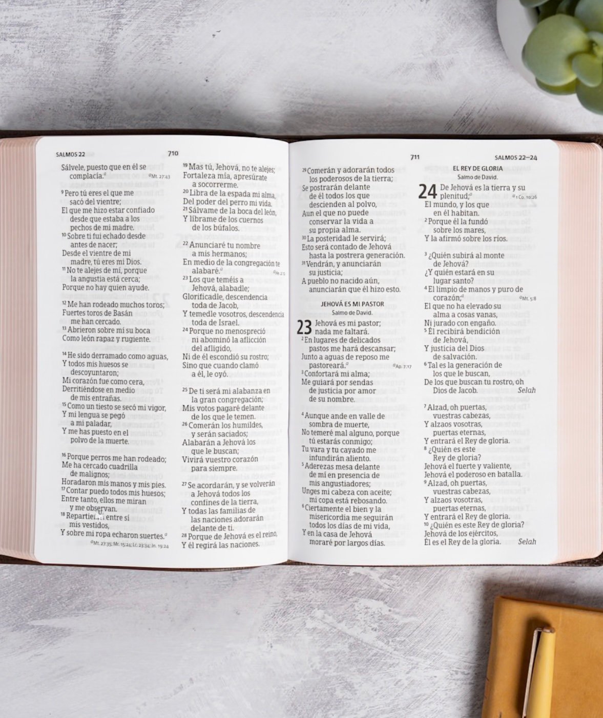 RVR 1960 Biblia letra grande, tamaño manual, edición especial, café tierra - Image 8