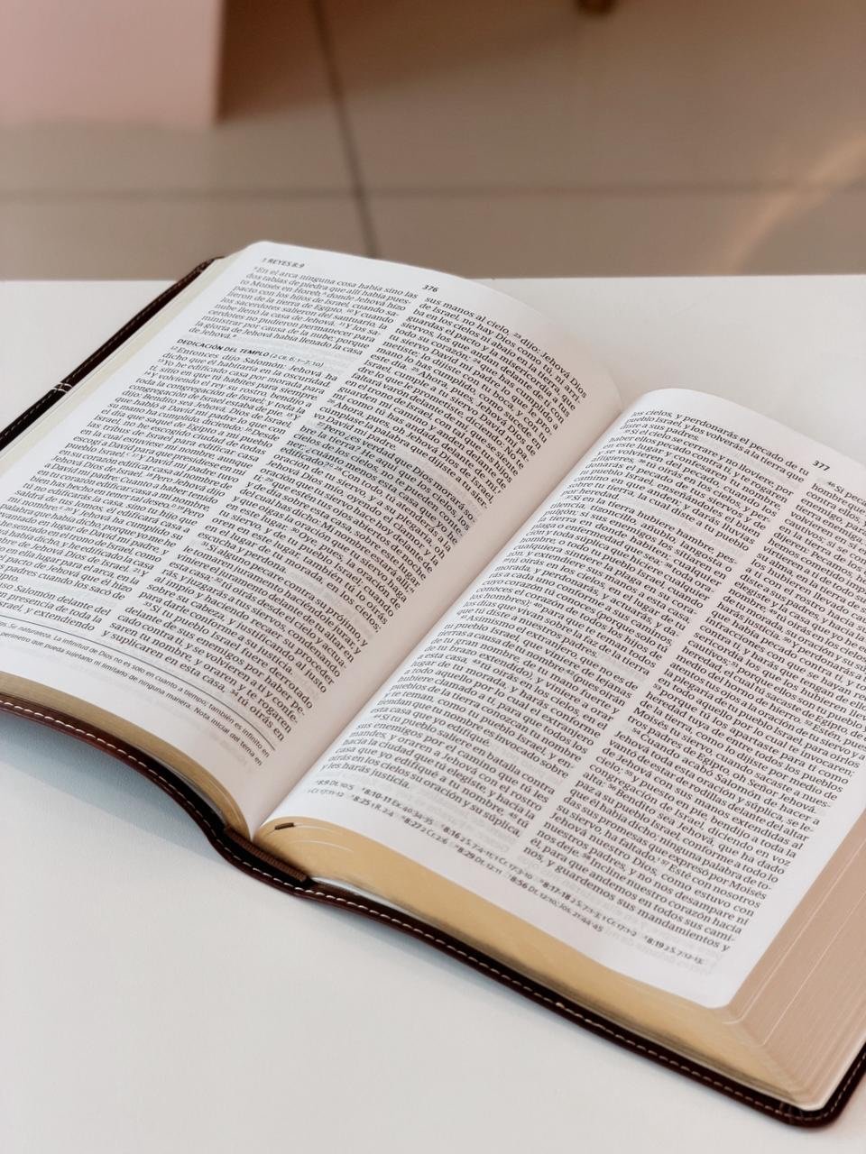 Reina Valera 1960 Biblia del Pescador, letra grande, caoba - Image 3