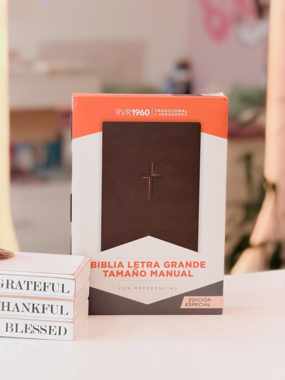 RVR 1960 Biblia letra grande, tamaño manual, edición especial, café tierra