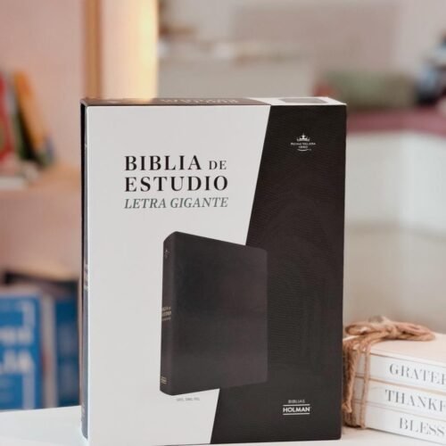 RVR 1960 Biblia de estudio letra gigante, gris, símil piel con indice
